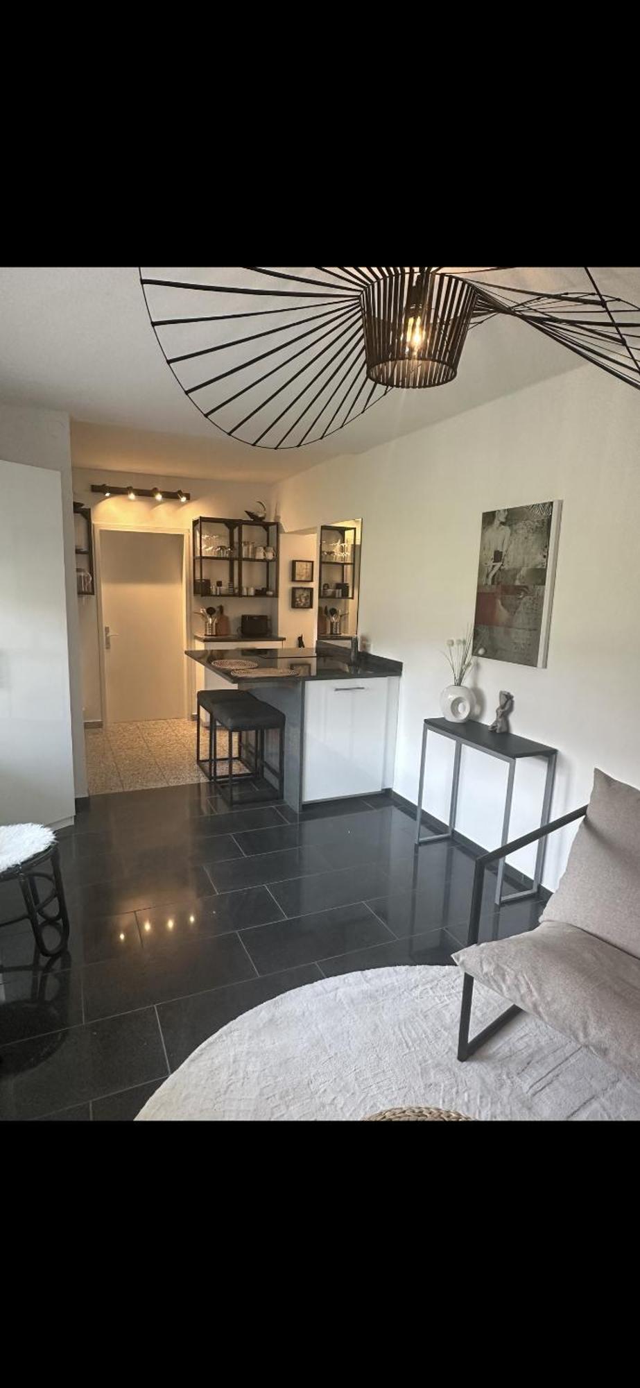 Charmante Fuer 2 Apartment Lottstetten